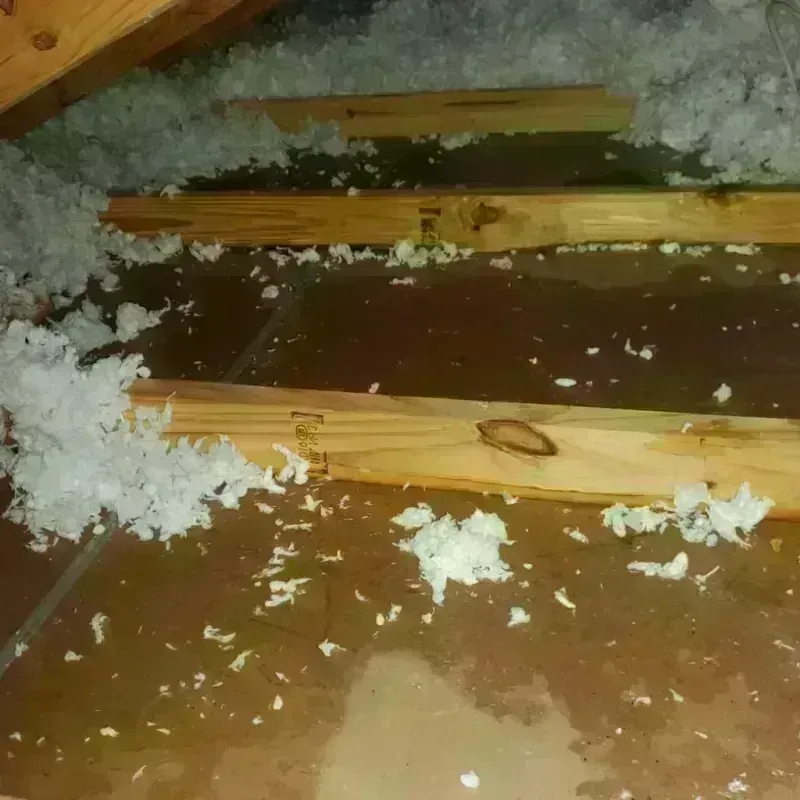 Attic Water Damage in Warren County, IA