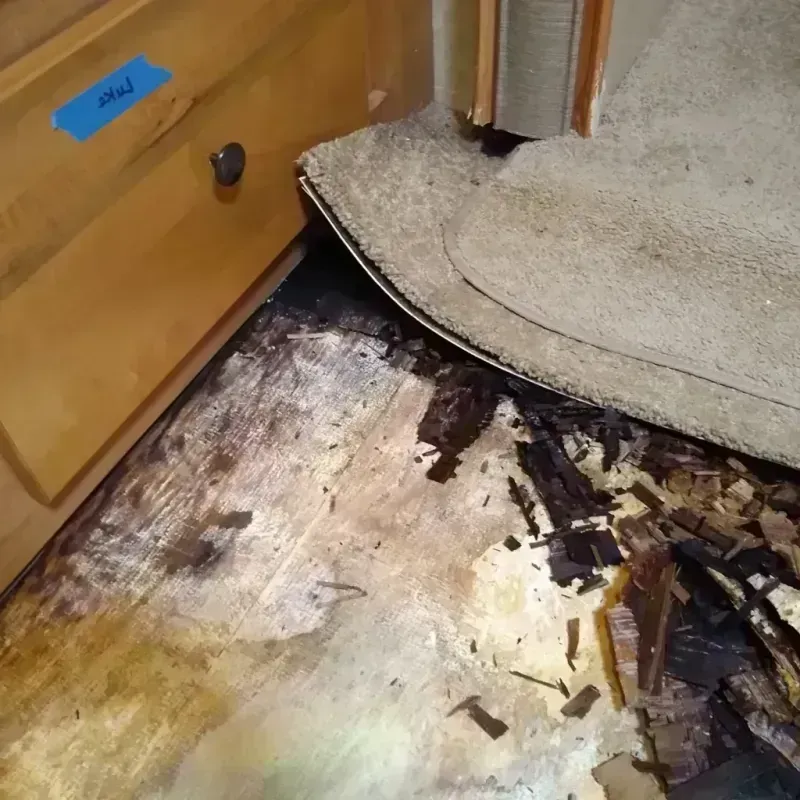 Wood Floor Water Damage in Warren County, IA